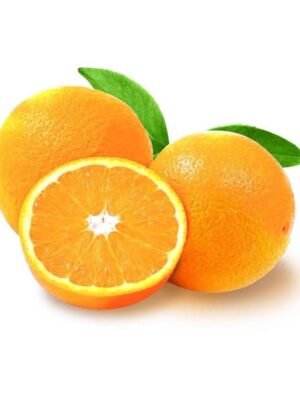 Large Bagged Oranges